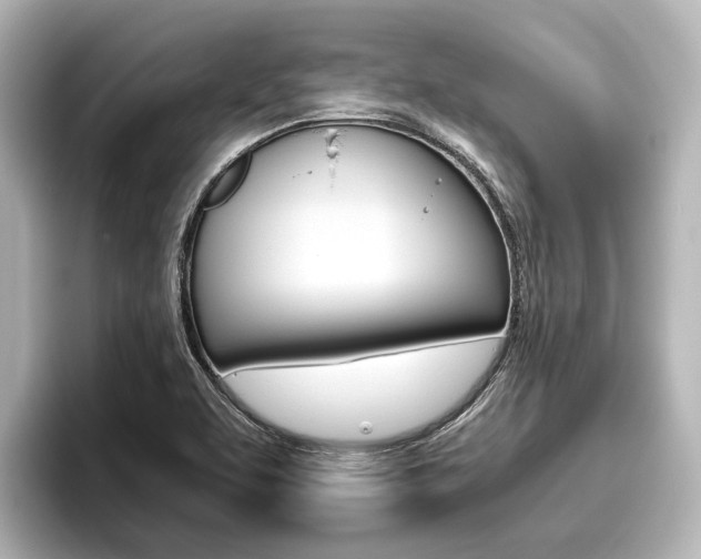 X0000096461463200801241108