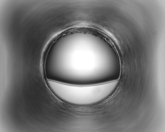 X0000096461464200801241108