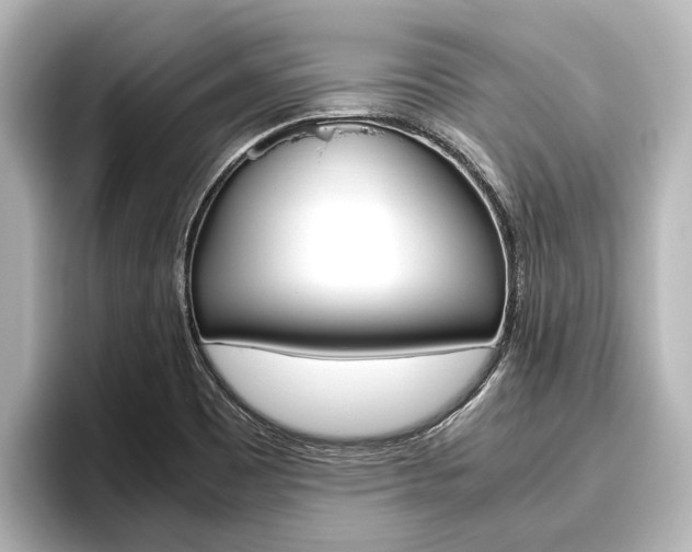 X0000096461465200801241108
