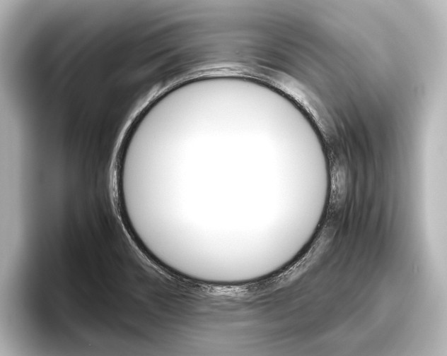 X0000096461466200801241108
