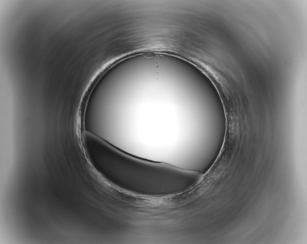 X0000096461468200801241108