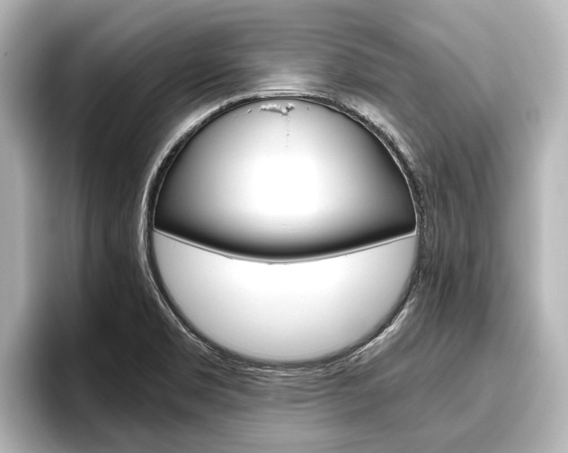 X0000096461469200801241108