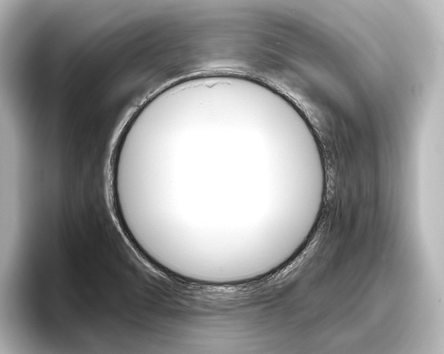 X0000096461470200801241108