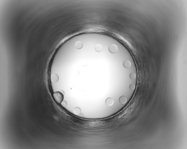 X0000096461471200801241108