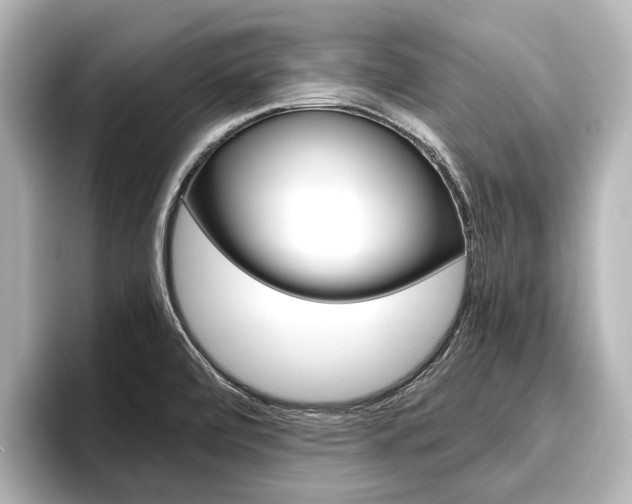 X0000096461472200801241108