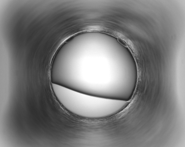 X0000096461473200801241108