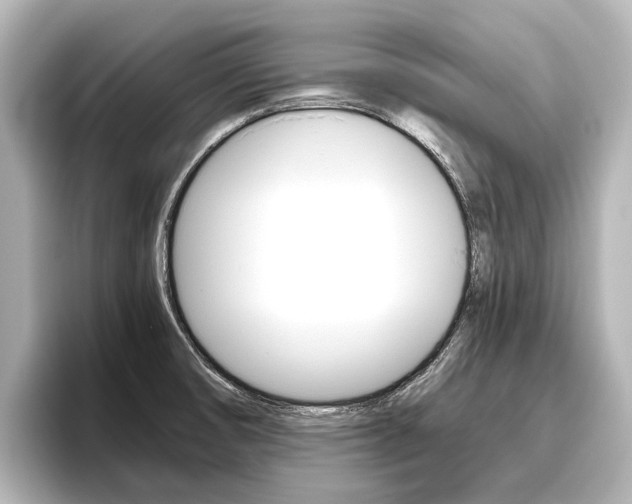 X0000096461474200801241108