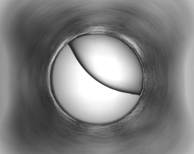 X0000096461475200801241108