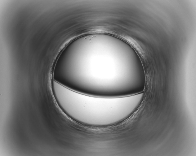 X0000096461476200801241108
