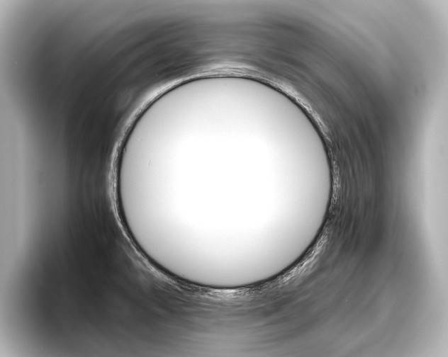 X0000096461478200801241108