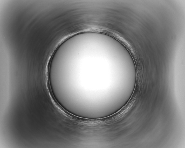 X0000096461479200801241108