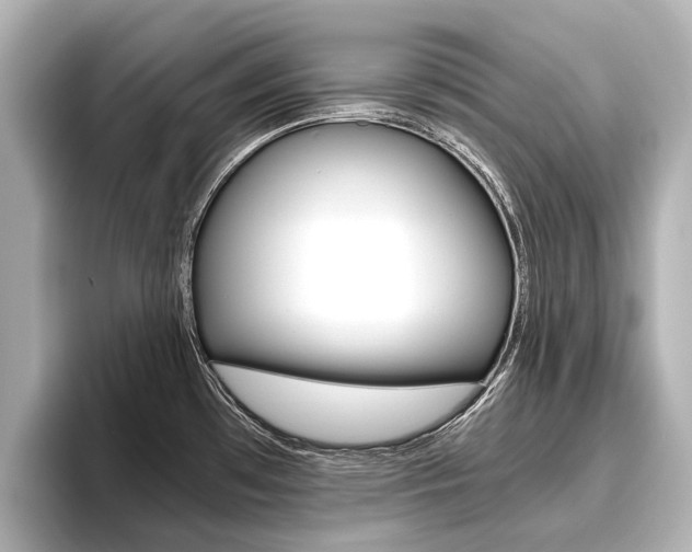 X0000096461481200801241108