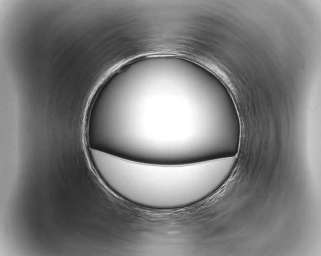 X0000096461485200801241108