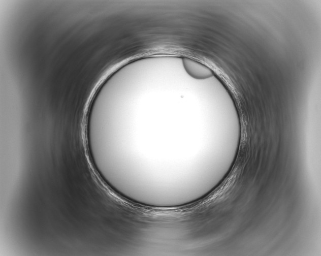 X0000096461486200801241108