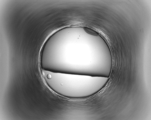 X0000096461487200801241108