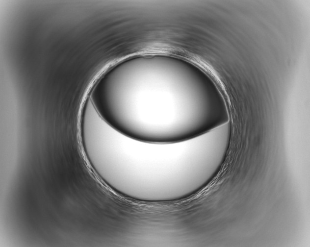 X0000096461488200801241108