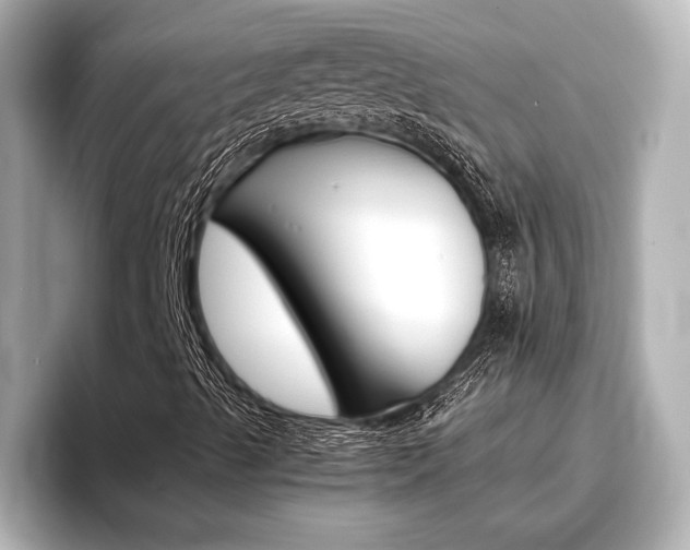 X0000096461489200801241107
