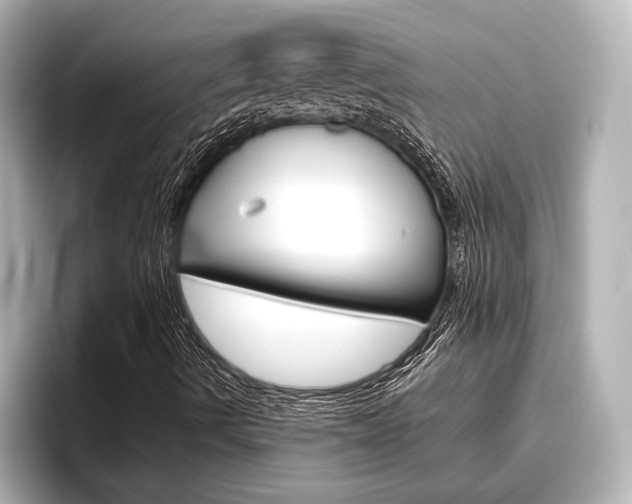 X0000096461490200801241107