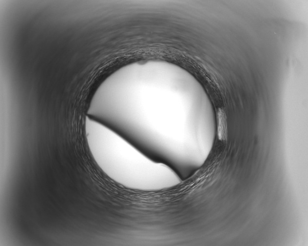 X0000096461491200801241107