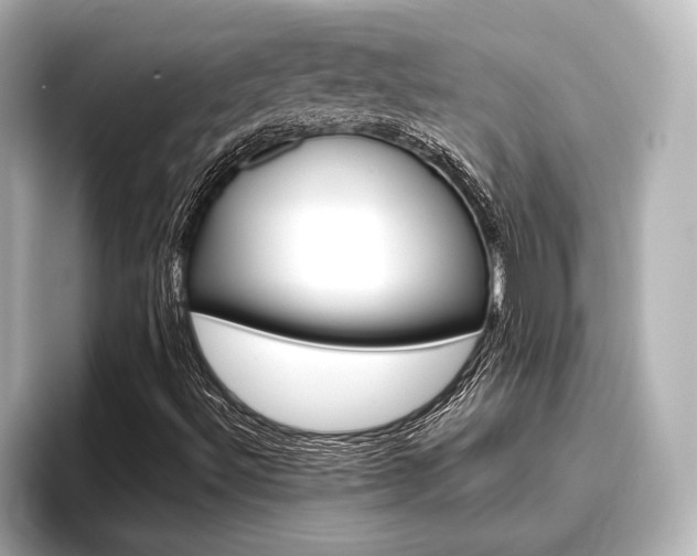 X0000096461492200801241107