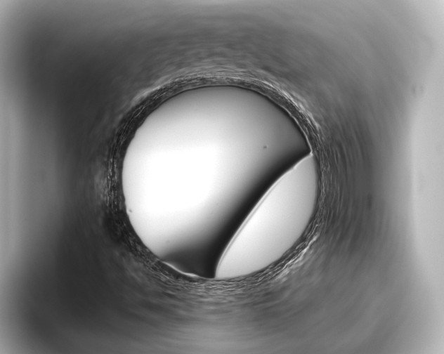 X0000096461494200801241107