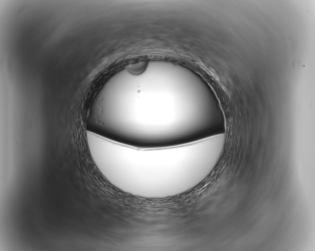 X0000096461495200801241107