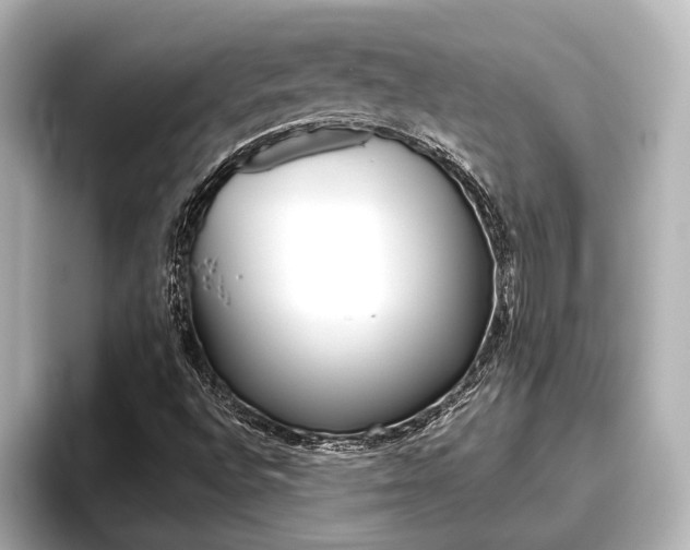 X0000096461496200801241107