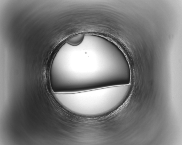 X0000096461497200801241107