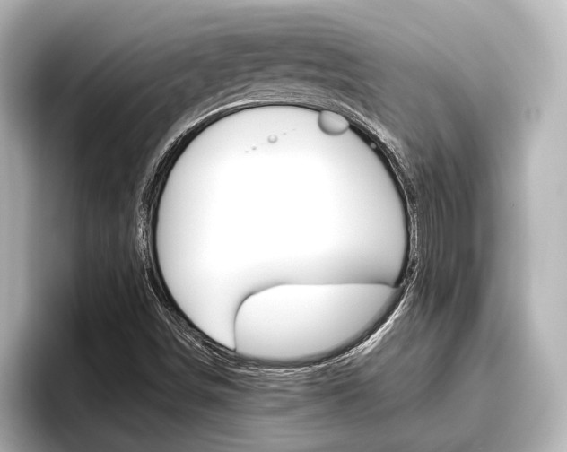 X0000096461498200801241107