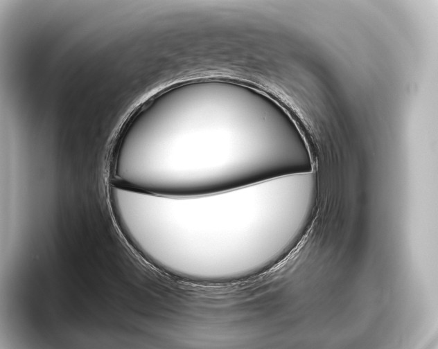 X0000096461500200801241107