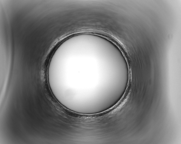 X0000096461501200801241107