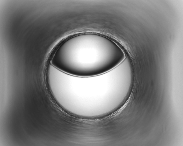 X0000096461502200801241107