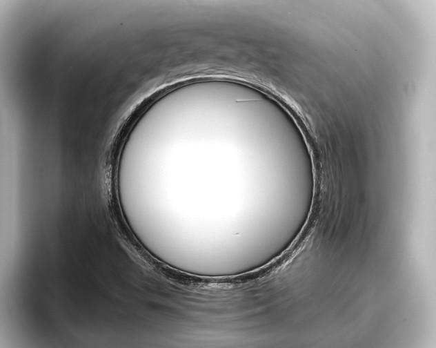 X0000096461503200801241107