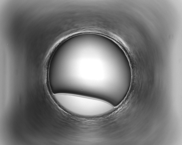 X0000096461504200801241107