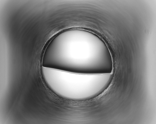 X0000096461505200801241107
