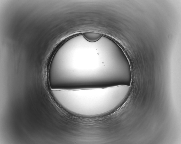 X0000096461507200801241107