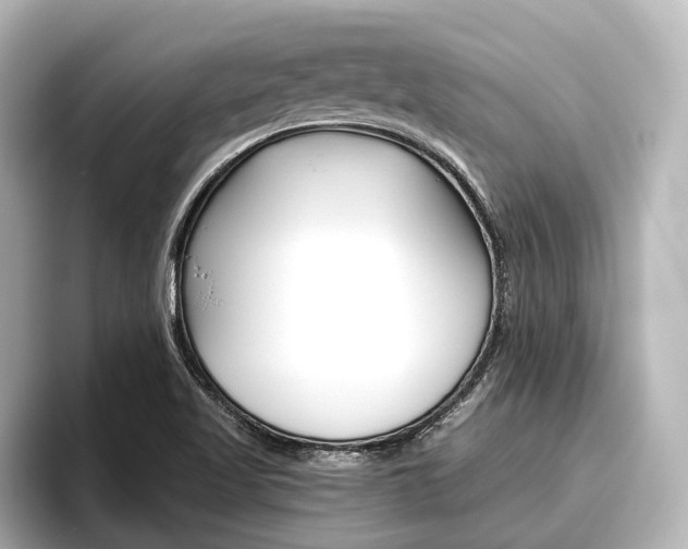 X0000096461509200801241107