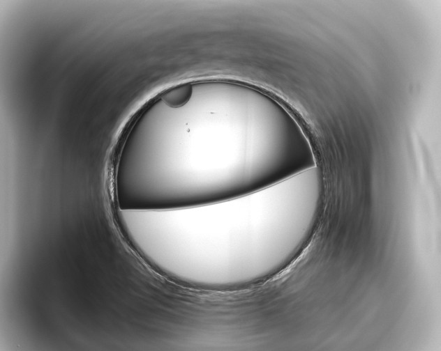 X0000096461510200801241108