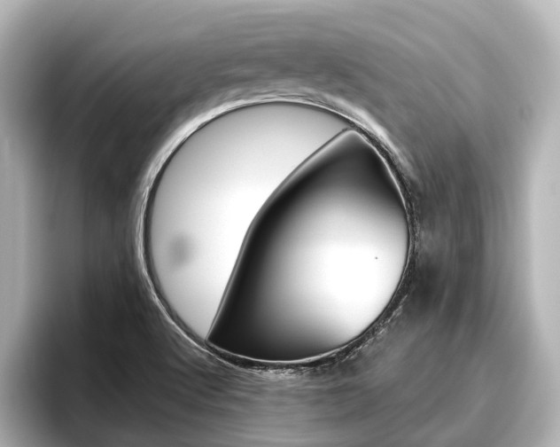 X0000096461512200801241108