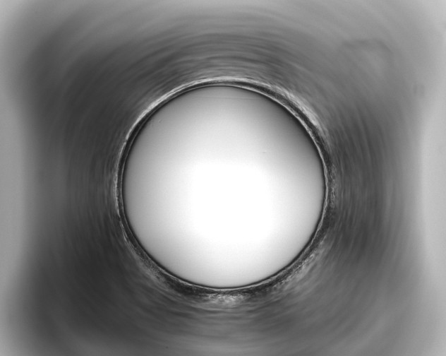 X0000096461513200801241108