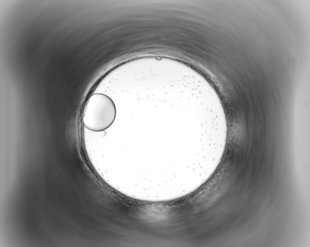 X0000096461514200801241108