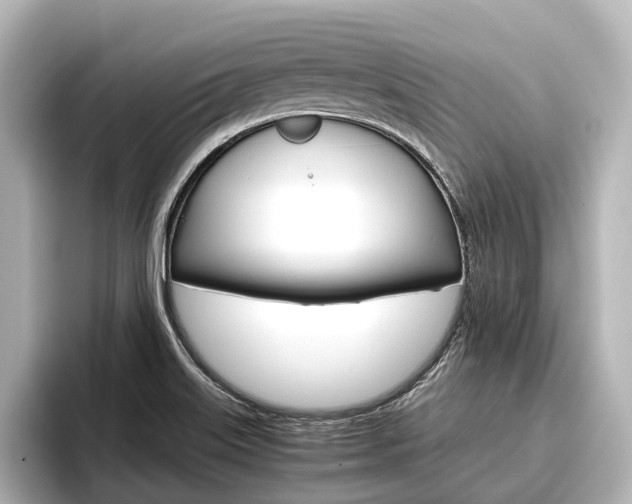 X0000096461515200801241108