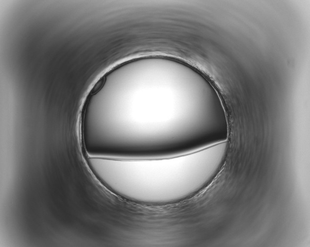 X0000096461516200801241108