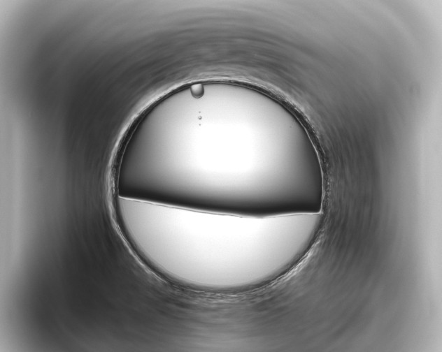 X0000096461517200801241108