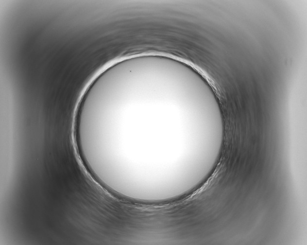 X0000096461518200801241108