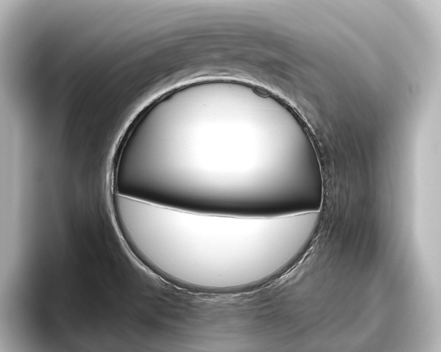 X0000096461519200801241108