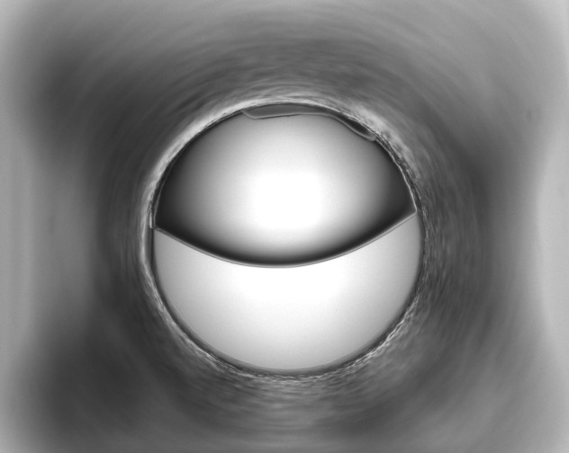 X0000096461520200801241108