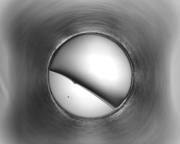 X0000096461521200801241108