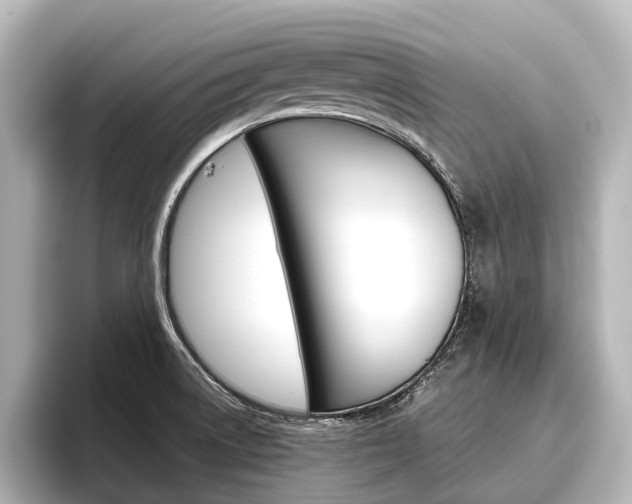 X0000096461522200801241108