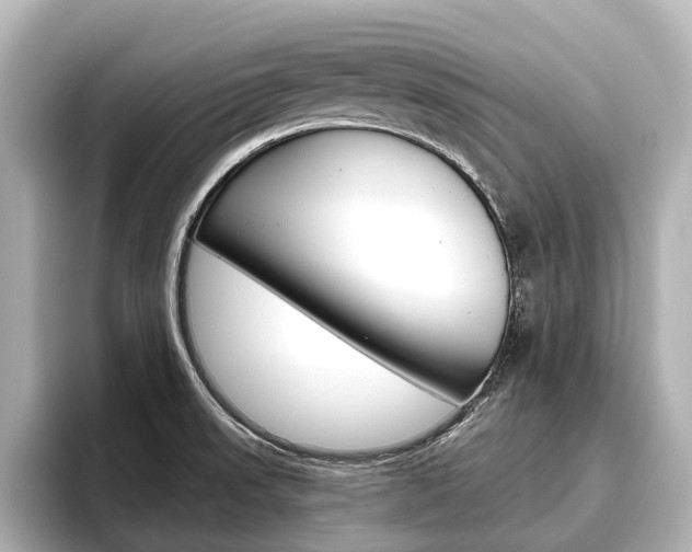 X0000096461523200801241108